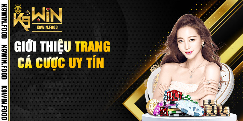 Giới thiệu sơ lược về thương hiệu K9win