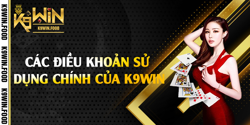 Các điều khoản sử dụng chính của K9win