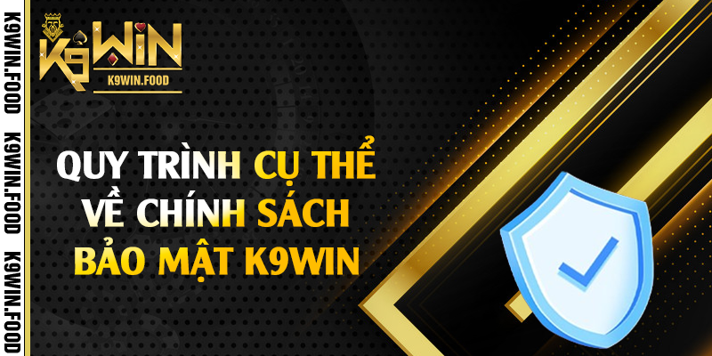 Quy trình cụ thể về chính sách bảo mật K9win