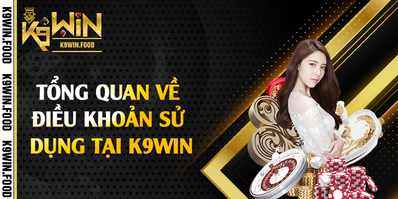 Tổng quan về điều khoản sử dụng tại K9win